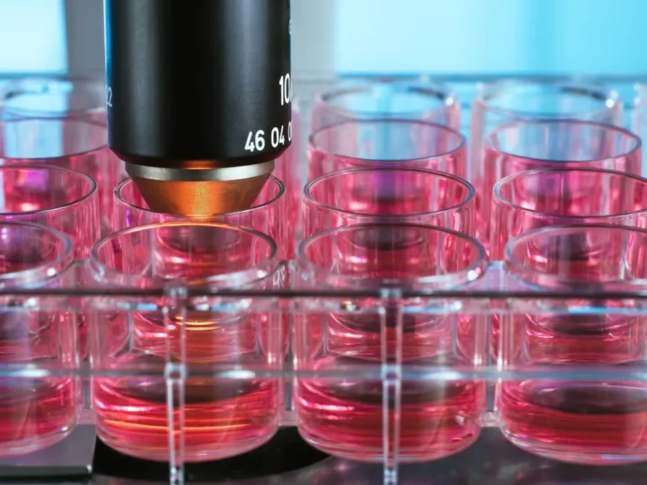 Vooruitblik Biotech Dialoog : De beloftes en risico's van kweekvlees (16 september)
