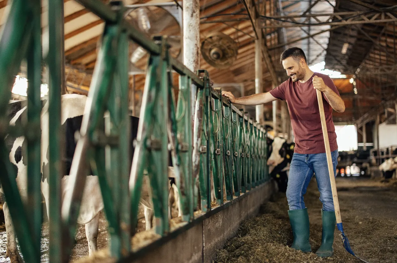 Themagesprek: hoe ziet de toekomst van jonge boeren eruit?