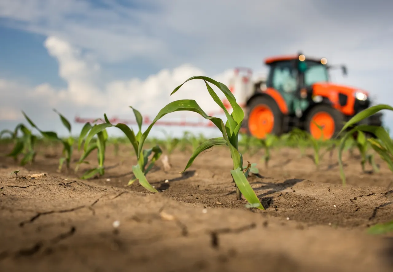 De rol van resistente rassen in de routekaart naar minder pesticiden